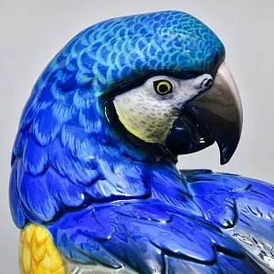 Коллекционная Фарфоровая статуэтка «Попугай Сине-Желтый АРА», ROSENTHAL Германия - 1936 год. 