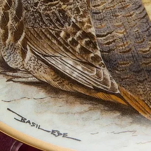 Коллекционная Тарелка «Серая куропатка» Фарфор Лимож Limoges Франция 1979 год.