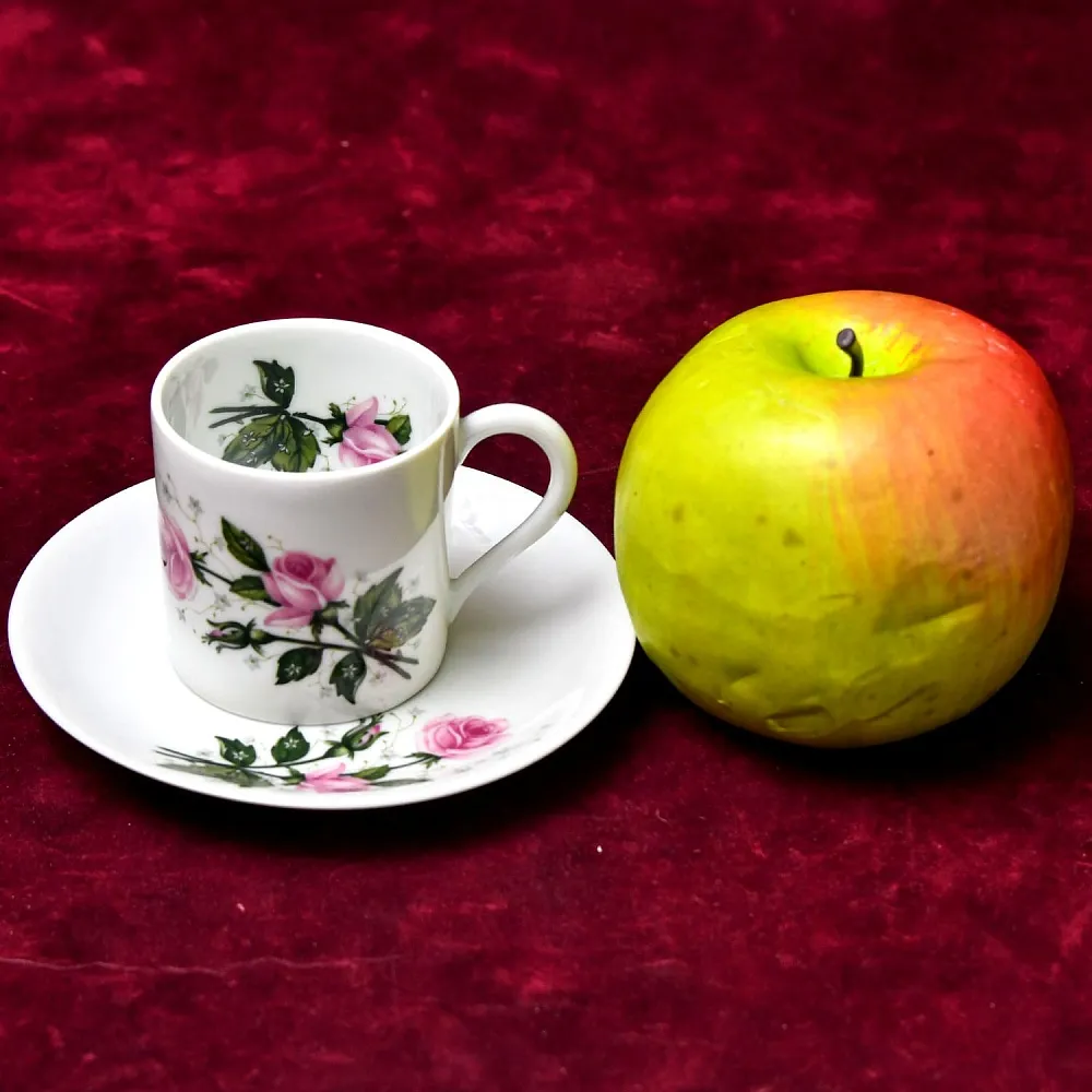 Коллекционная Кофейная Пара «Розовый куст», фарфор Porcelains Champs-Elysees Limoges, Франция.