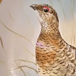 Коллекционная Тарелка «Тетерев - Тетёрки» Фарфор Лимож Limoges Франция 1979 год.