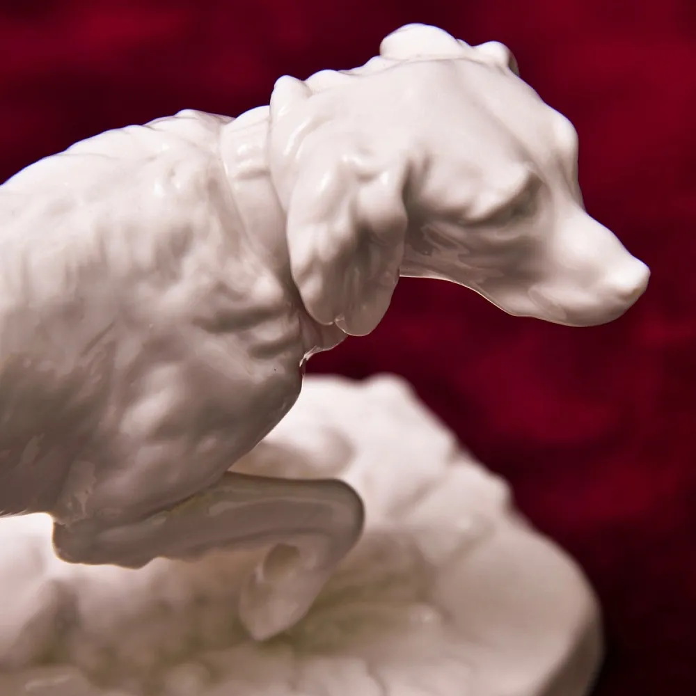 Антикварная Фарфоровая Статуэтка «Охотничья Собака - Сеттер», Nymphenburg, Германия первая половина ХХ века.