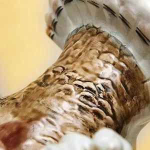 Большая Коллекционная статуэтка «Птица - ДРОФА», Фаянс ЗиК Конаково, СССР 50-е годы.