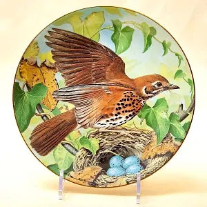 Коллекционная Тарелка «Певчий Дрозд» Фарфор Лимож Limoges Франция 1984 год.