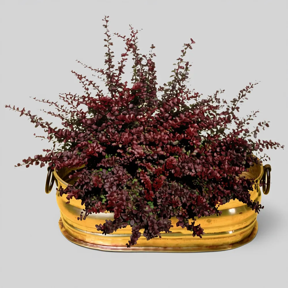 Винтажное Латунное Овальное Кашпо для цветов или Горшок - Зольник, Франция, середина ХХ века!