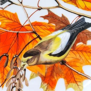 Коллекционная Тарелка - Блюдо «Вечерний Американский Дубонос» Фарфор, Franklin Porcelain США -1980 год.