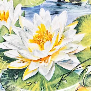 Авторская Фарфоровая Тарелка - Блюдо «Белая водная лилия», Rosenthal Германия - 2001 год.