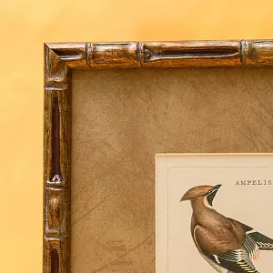 Картина - Литография «Свиристели» из серии «Птицы Голландии». Nederlandce Vogelen, Голландия.