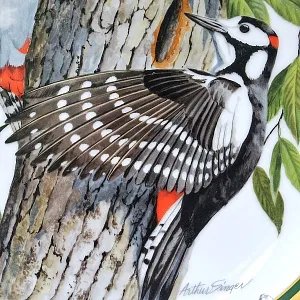 Коллекционная Тарелка - Блюдо «Большой Пестрый Дятел» Фарфор, Franklin Porcelain США -1980 год.