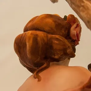 Настольная Электрическая Лампа - Светильник «ВЕСНА», FLORENCE, Италия -1985 год.