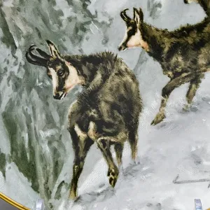 Коллекционная Фарфоровая Тарелка - Блюдо «Дикая Природа. Горные козлы зимой», KAISER Германия. 