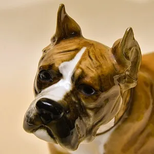 Редкость! Фарфоровая статуэтка  «Собака БОКСЕР», Hutschenreuther Германия, середина ХХ века.