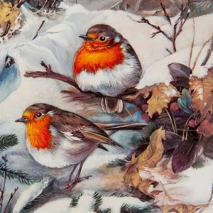 Коллекционная Тарелка «Зарянки на снегу» Фарфор, Hutschenreuther, Германия -1992 год.