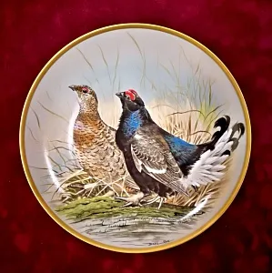 Коллекционная Тарелка «Тетерев - Тетёрки» Фарфор Лимож Limoges Франция 1979 год.