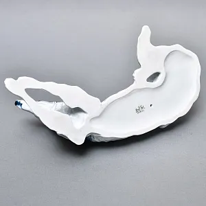 Коллекционная статуэтка «ОХОТНИЧЬЯ СОБАКА. Русская псовая борзая», Фарфор ROSENTHAL Германия.