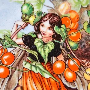 Коллекционная Фарфоровая Тарелка - Блюдо «Фея Бузины», Wedgwood Англия - 1989 год.