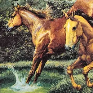 Коллекционная Фарфоровая тарелка «Лошади. Прыжок в пруд», Furstenberg Германия - 1995 год.