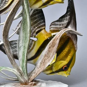 Большая Фарфоровая статуэтка «РЫБЫ. Плывущие Скалярии», ROSENTHAL Германия.