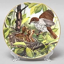 Коллекционная Тарелка «Лесной дрозд - Время кормления» Фарфор, Franklin Porcelain США -1983 год.