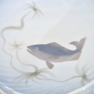 Коллекционное Фарфоровое Блюдо для морепродуктов «КРАБ», Royal Copenhagen Дания, 1966 год.