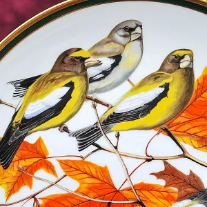 Коллекционная Тарелка - Блюдо «Вечерний Американский Дубонос» Фарфор, Franklin Porcelain США -1980 год.