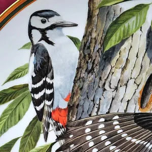 Коллекционная Тарелка - Блюдо «Большой Пестрый Дятел» Фарфор, Franklin Porcelain США -1980 год.
