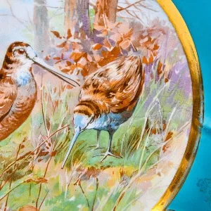 Редкость! Антикварное Блюдо - Тарелка «Охота - Птицы - Лесной Кулик» Фарфор Limoges Франция 20 гг.