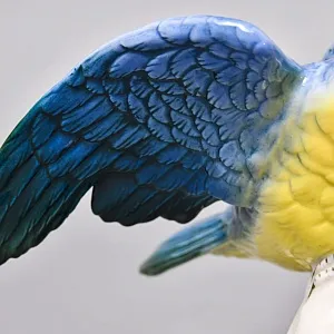 Птица - Коллекционная Статуэтка «Сине-Желтый Какаду на ветке», фарфор Karl Ens Германия 50 гг. 