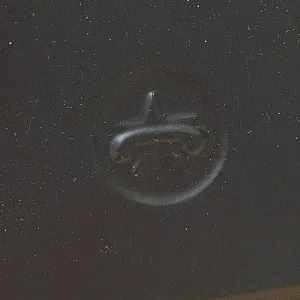 Настольная Электрическая Лампа - Светильник «Правительственный Телефон ТАН-6» СССР.