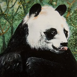 Редкая! Коллекционная Тарелка - Блюдо «ПАНДA», Фарфор, Голландия -1982 год.