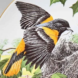 Коллекционная Тарелка «Иволга - Строительство гнезда» Фарфор, Franklin Porcelain США -1983 год.