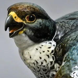 Большая Фарфоровая Статуэтка «Птица - Сокол-Сапсан», Hutschenreuther, Германия -1970 год.