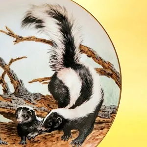  Коллекционная Тарелка «Лесной Год, АПРЕЛЬ. Скунсы» Фарфор, Англия -1982 год.