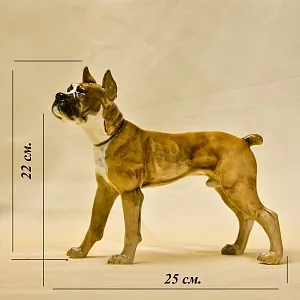 Редкость! Фарфоровая статуэтка  «Собака БОКСЕР», Hutschenreuther Германия, середина ХХ века.