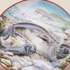 Коллекционная Рельефная Тарелка «ТЮЛЕНИ» Фарфор, Villeroy&Boch Германия -1981 год.