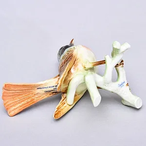 Коллекционная статуэтка «Птица. Горихвостка», Фарфор Goebel, Германия, 1979 - 1990 годы.