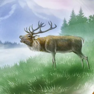 Столовый Фарфоровый сервиз «Охота» на 12 персон, Kaestner Saxonia Германия, первая половина ХХ века.