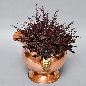 Винтажный Зольник с Фарфоровыми ручками Кашпо Медь Англия середина ХХ века!