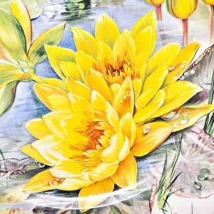 Авторская Фарфоровая Тарелка - Блюдо «Желтая кувшинка Шарлин Строун», Rosenthal Германия - 2001 год.