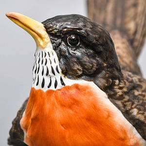 Бисквит! Коллекционная Фарфоровая статуэтка «Птица - Певчий дрозд» KAISER Porzellan Германия - 1979 год.