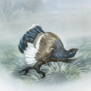 Столовый Фарфоровый сервиз «Охота» на 12 персон, Kaestner Saxonia Германия, первая половина ХХ века.