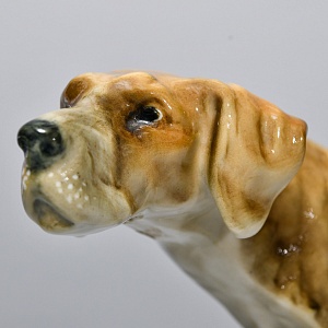 Коллекционная Фарфоровая статуэтка «Собака ПОЙНТЕР», Hutschenreuther Германия, середина ХХ века.