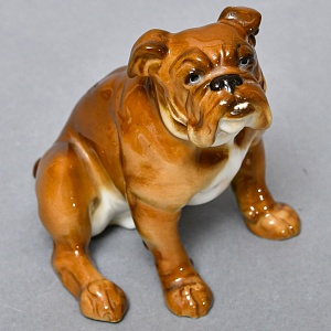 Коллекционная Фарфоровая статуэтка «Cобака. Английский бульдог» Hutschenreuther Германия, середина ХХ века.