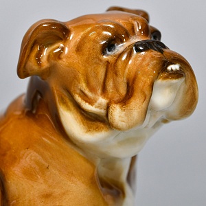 Коллекционная Фарфоровая статуэтка «Cобака. Английский бульдог» Hutschenreuther Германия, середина ХХ века.