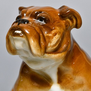 Коллекционная Фарфоровая статуэтка «Cобака. Английский бульдог» Hutschenreuther Германия, середина ХХ века.