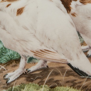 Коллекционная Тарелка «Лесной Год - НОЯБРЬ» Фарфор, Studio Fine Porcelaine Англия -1983 год.