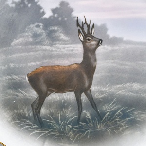 Столовый Фарфоровый сервиз «Охота» на 12 персон, Kaestner Saxonia Германия, первая половина ХХ века.