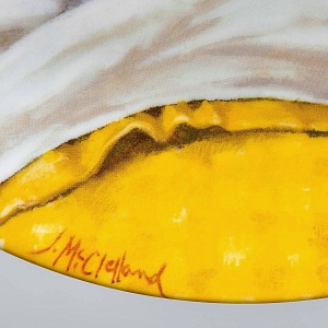 Коллекционная Фарфоровая Тарелка «День девочки Бекки. Пробуждение», RECO США - 1985 год. 