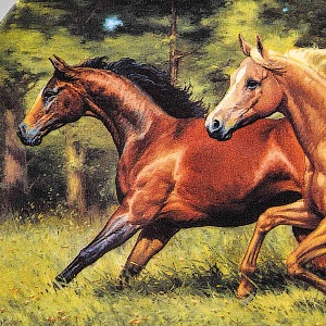 Коллекционная Фарфоровая тарелка «Лошади. Скачки у реки», Furstenberg Германия - 1996 год. 