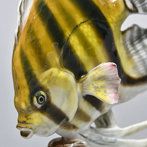 Коллекционная статуэтка «РЫБКА. Плывущая Скалярия», Фарфор ROSENTHAL Германия - 1938 год.