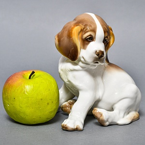 Коллекционная Фарфоровая статуэтка «Собака. Щенок Сенбернара», Nymphenburg Германия, 50-е гг.